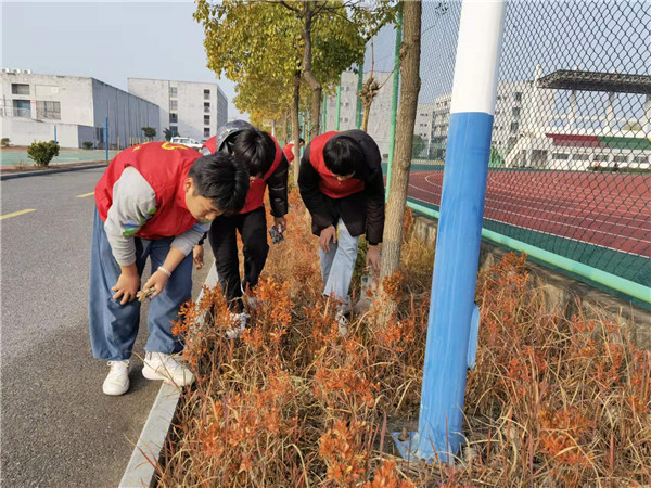 创卫生城市    建美丽校园(图4)
